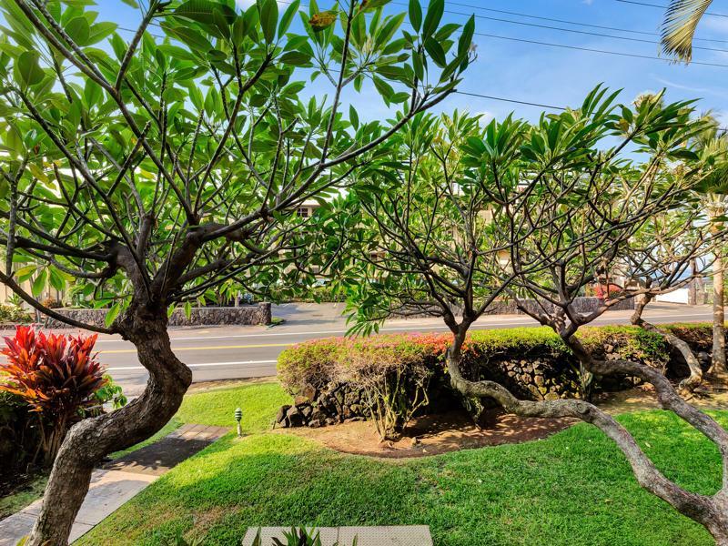 Castle Kona Bali Kai A Condominium Resort Holualoa Esterno foto